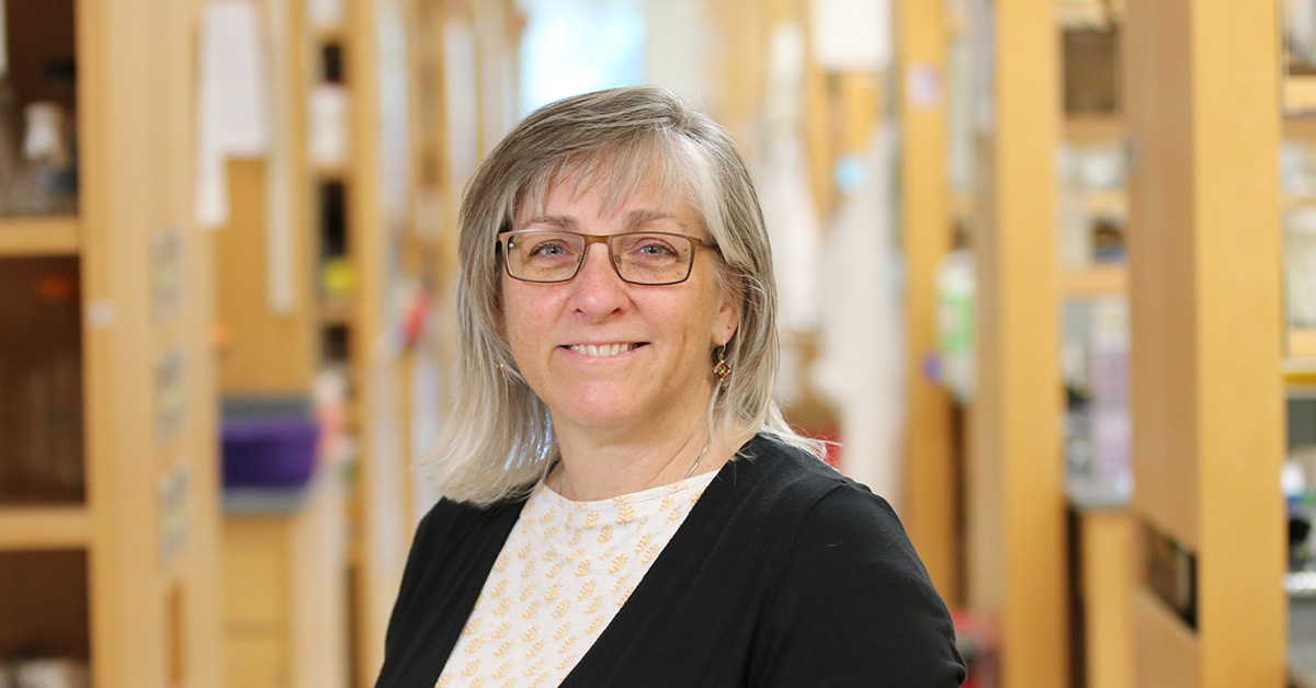 Ann Moormann