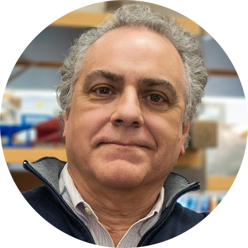 Lucio Castilla, PhD