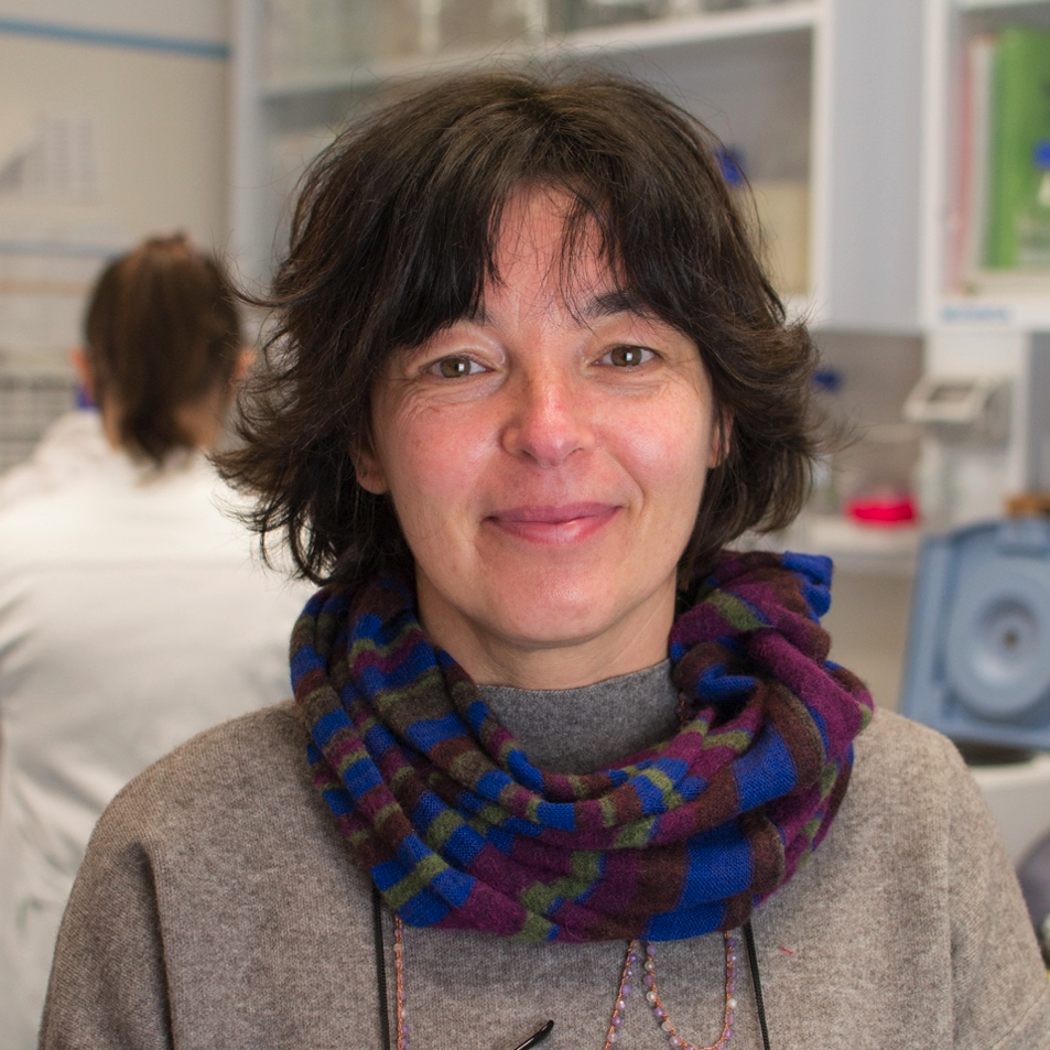 Corinna Giorgi, PhD