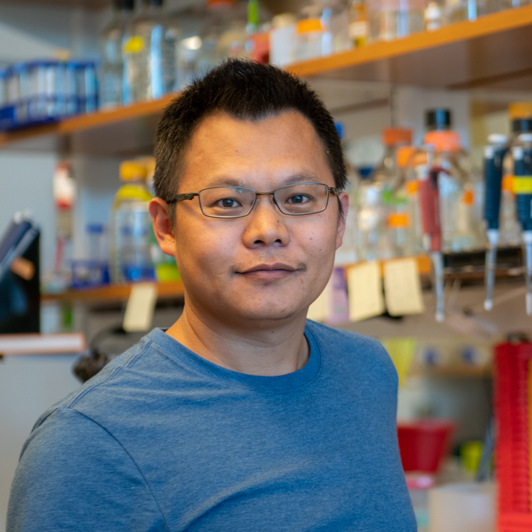 Yuehe Ding, PhD