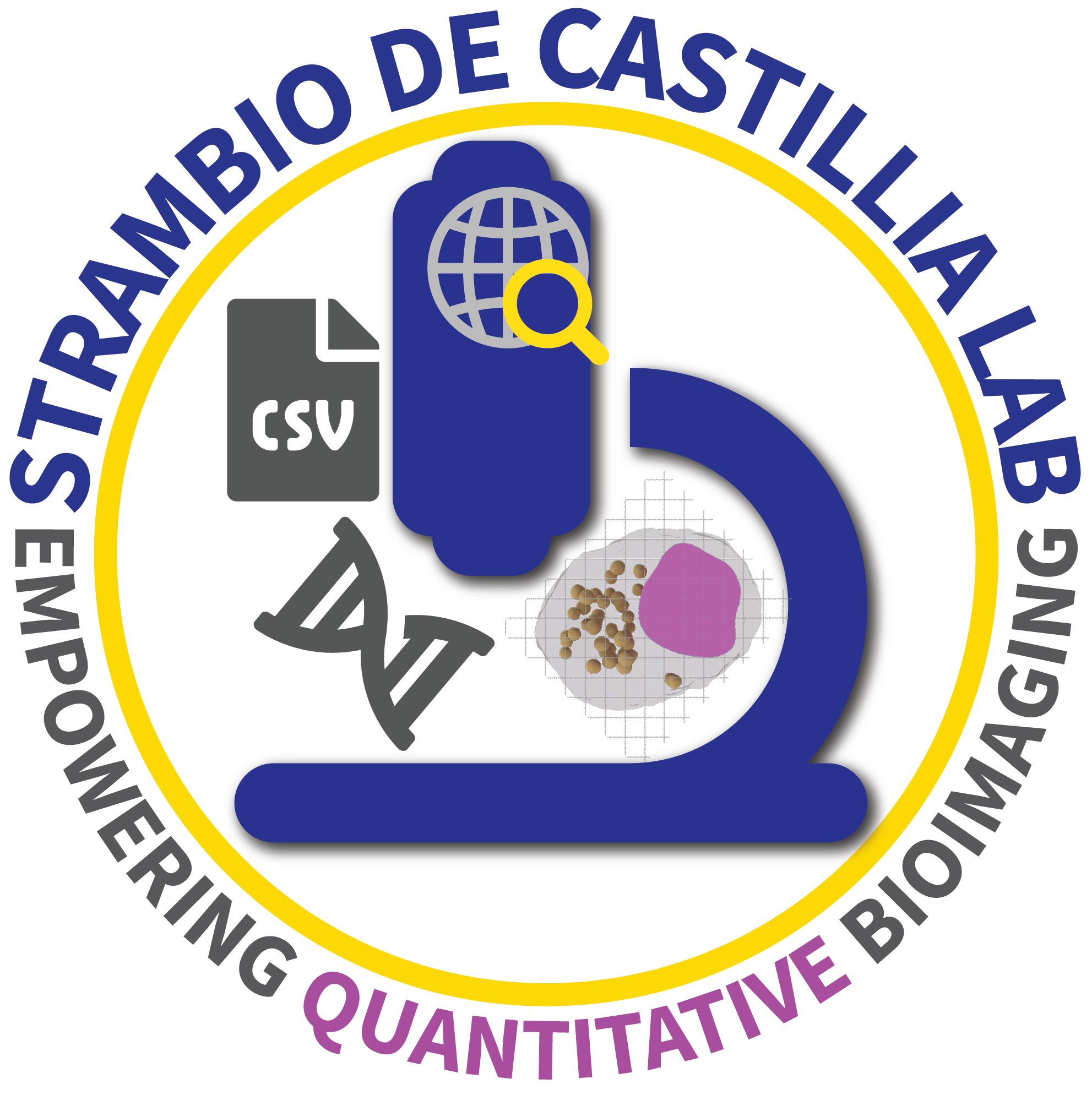 SDCLab_LOGO_UMassChan_colors_ZoomedIn_v2.png