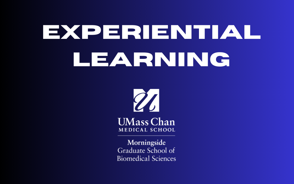 Experiencial Learning with Logo