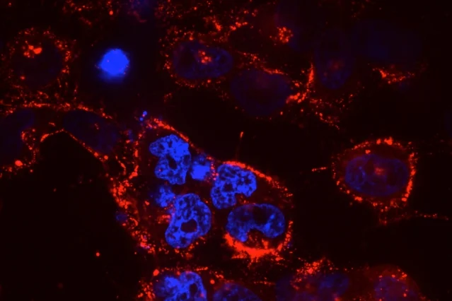  mit-leonardi-nanoparticles-01_0.webp