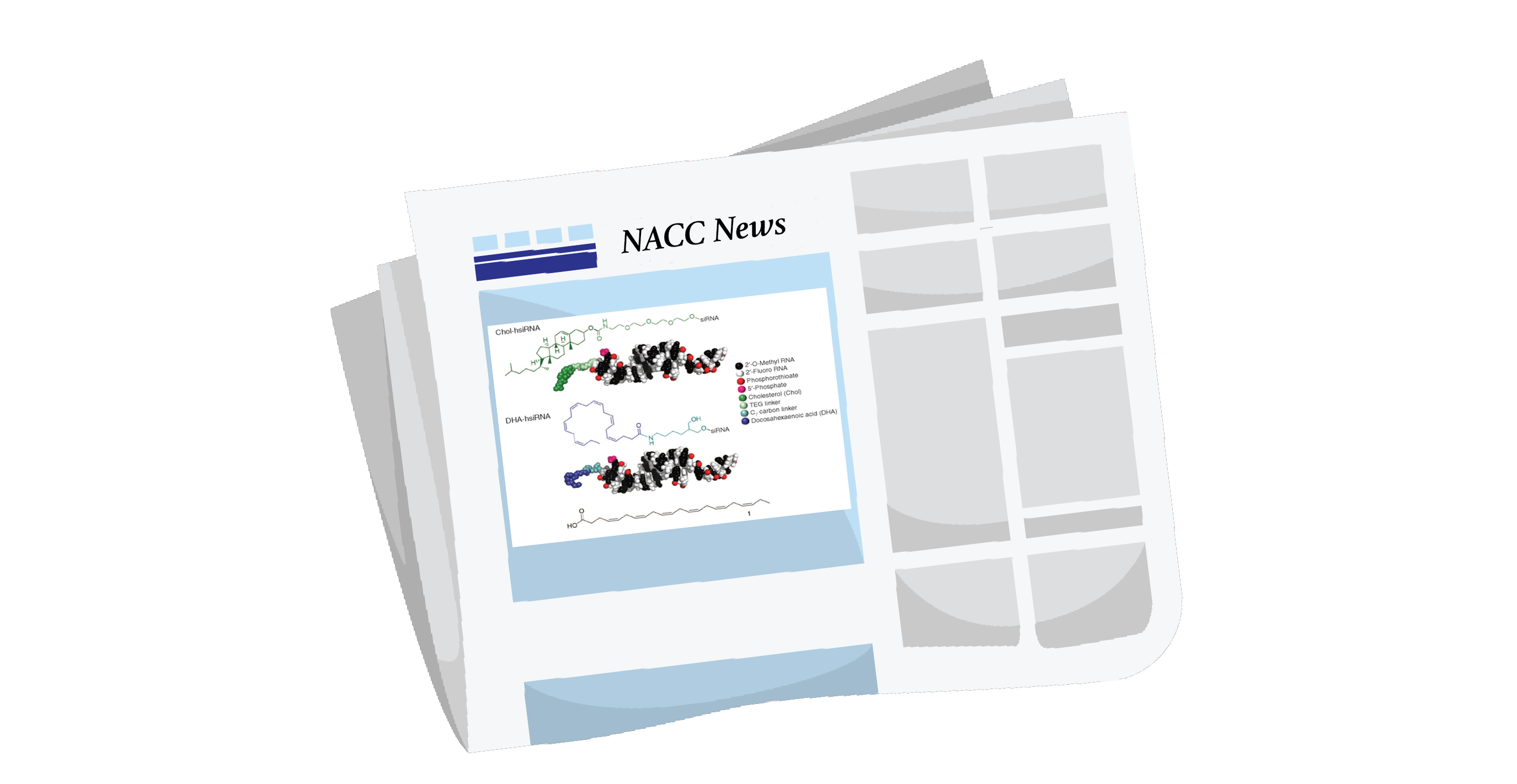  News Block.png