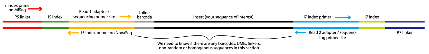 Diagram of Illumina library structure showing the P5 linker, i5 index, Read1 adapter and Read1/i5 primer site, inline barcode, insert, Read2 adapter and Read 2/i7 primer site, i7 index, P7 linker. The Core needs to know if there are barcodes, non-random, or homogeneous sequences in the inline and insert section.