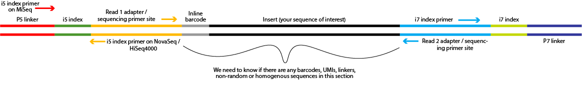 Diagram of Illumina library structure showing the P5 linker, i5 index, Read1 adapter and Read1/i5 primer site, inline barcode, insert, Read2 adapter and Read 2/i7 primer site, i7 index, P7 linker. The Core needs to know if there are barcodes, non-random, or homogeneous sequences in the inline and insert section.