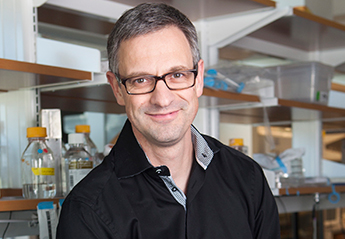 Job Dekker, Ph.D.