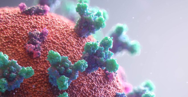 Swift, generous support drives COVID-19 and related virus research