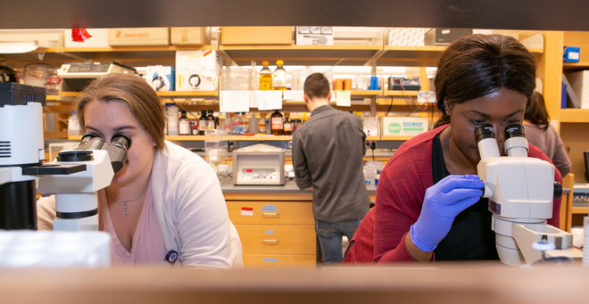 Mathers Foundation strengthens support of biomedical research
