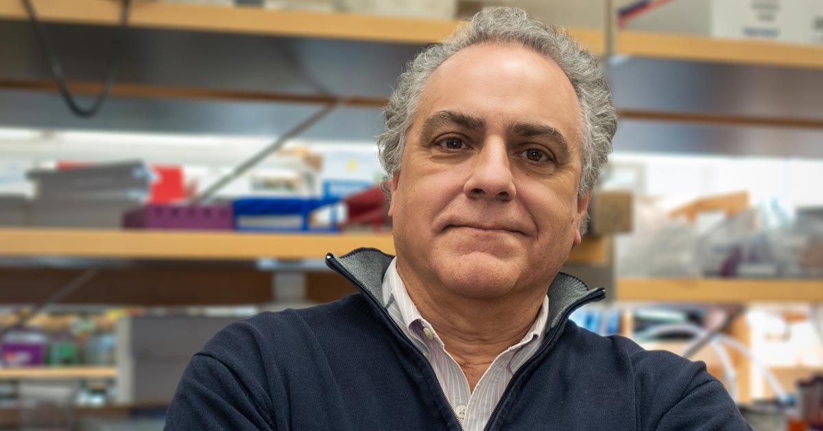 Image of Lucio Castilla, PhD