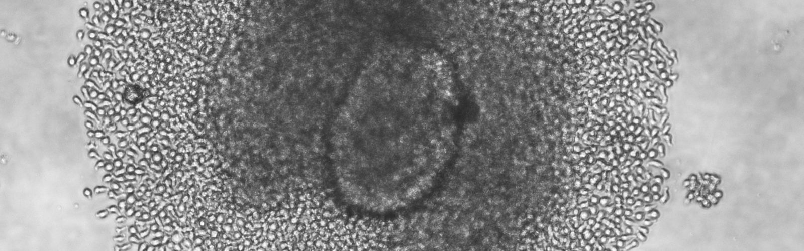 Kent Hero Slider Our Research