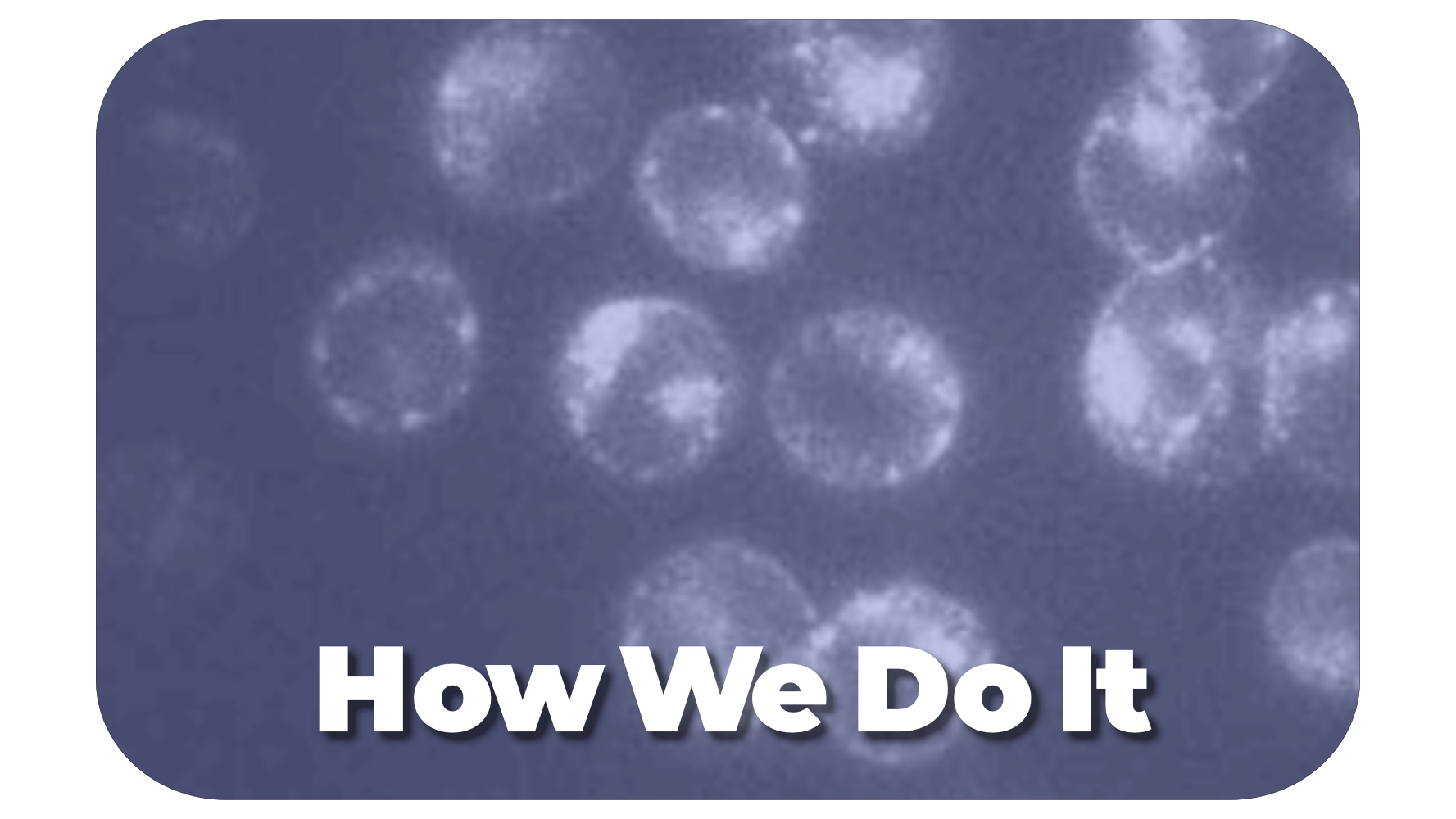  kobertz_How We Do It.png