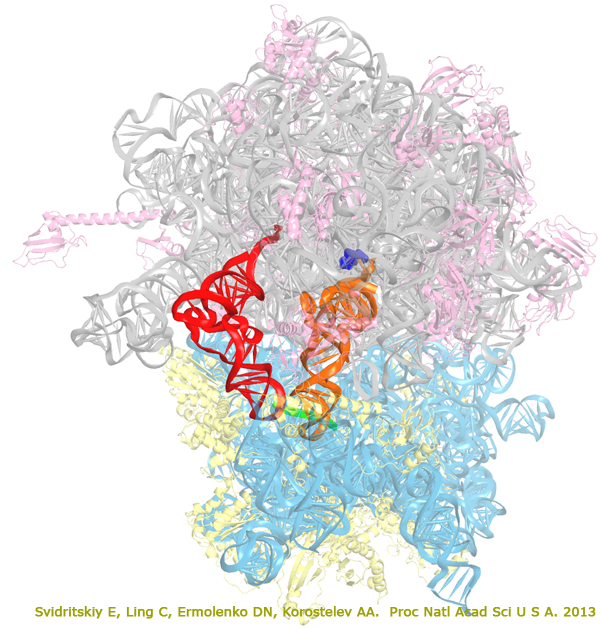 Discovery and mechanisms of drug action