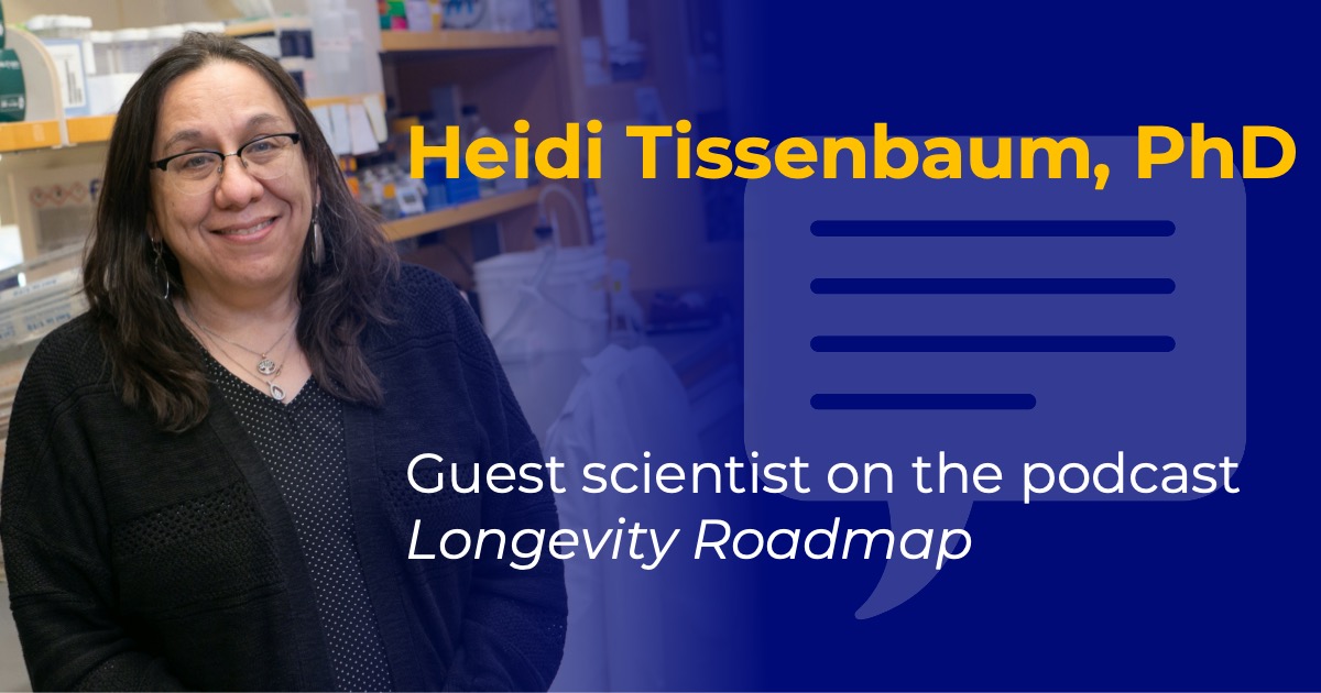 Headshot of Heidi Tissenbaum with overlaid text reading “Heidi Tissenbaum, PhD” and “Guest scientist on the podcast Longevity Roadmap.”