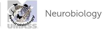 Neurobiology