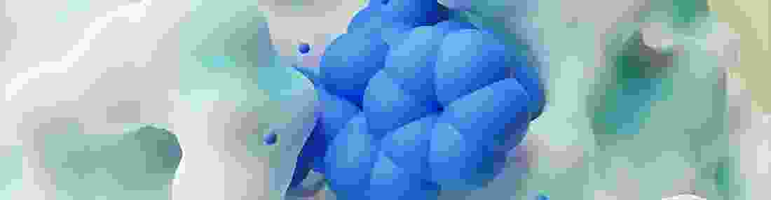 sbdd_header_02.png