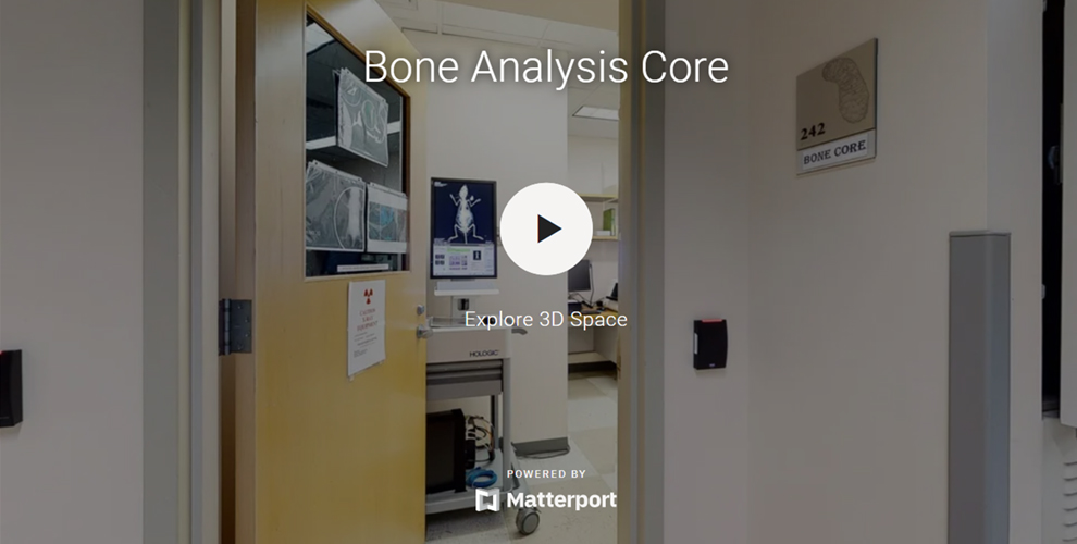 3D Tour Bone Analysis Thumbnail.jpg