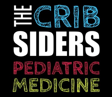 CribSiders.jpg