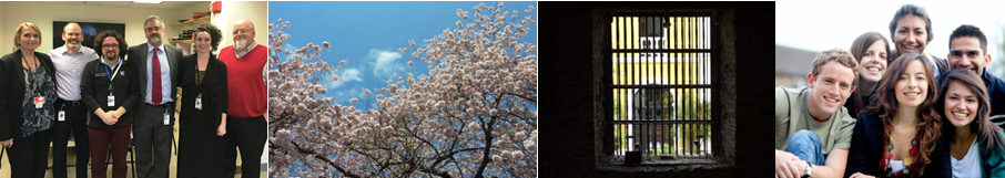 This a triptych photo of professors, blossoming tree, a window and smiling people