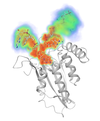 APOBEC3 bound to ssDNA