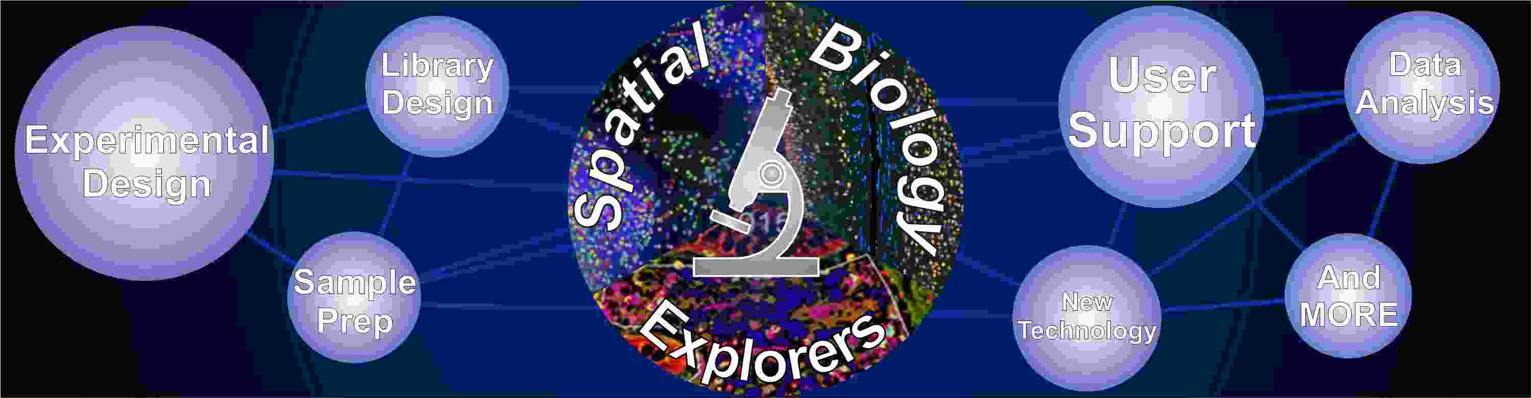 Spatial Biology Explorers header.jpg