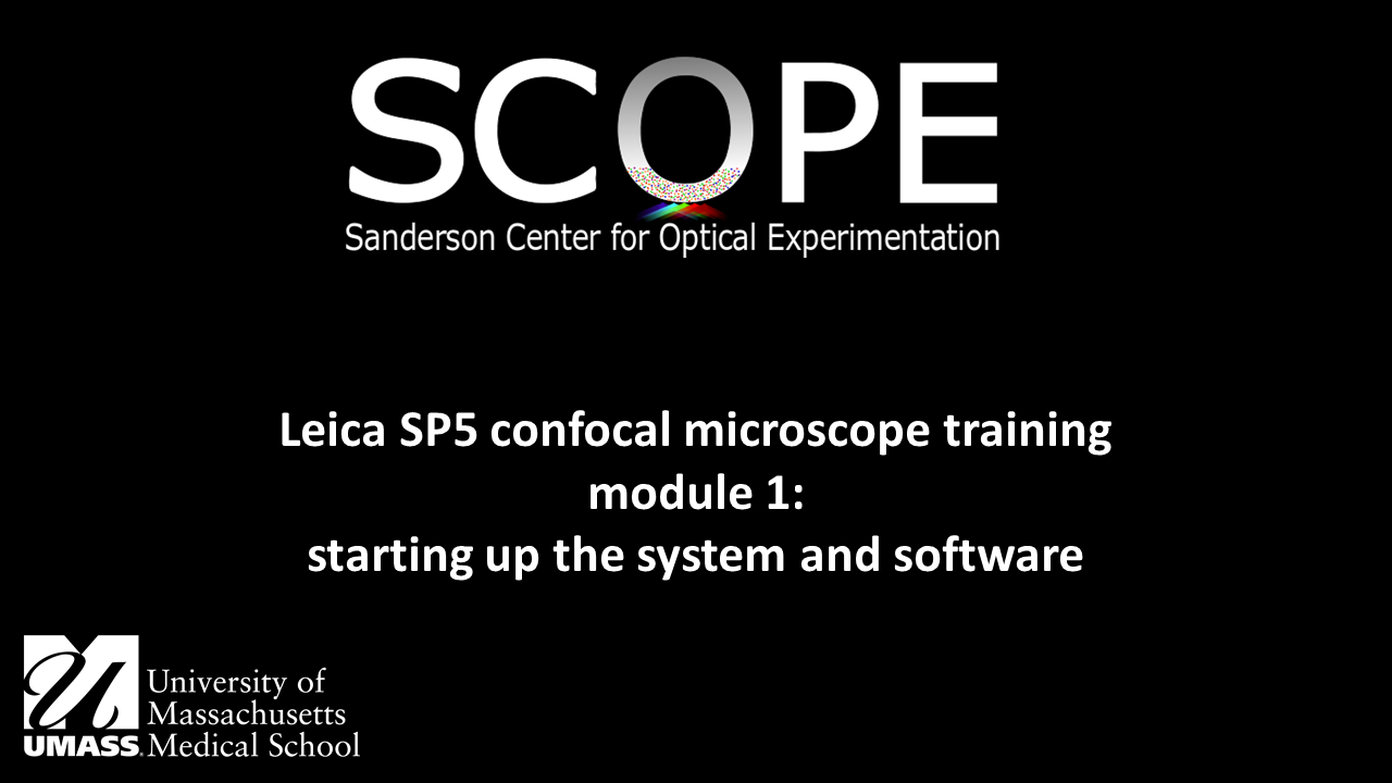 SP5 module 1