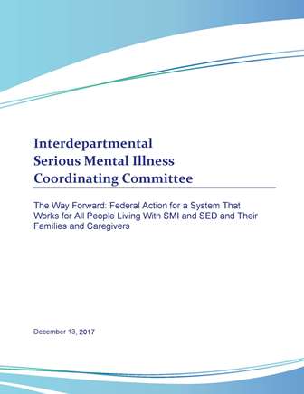 2017 ISMICC report cover