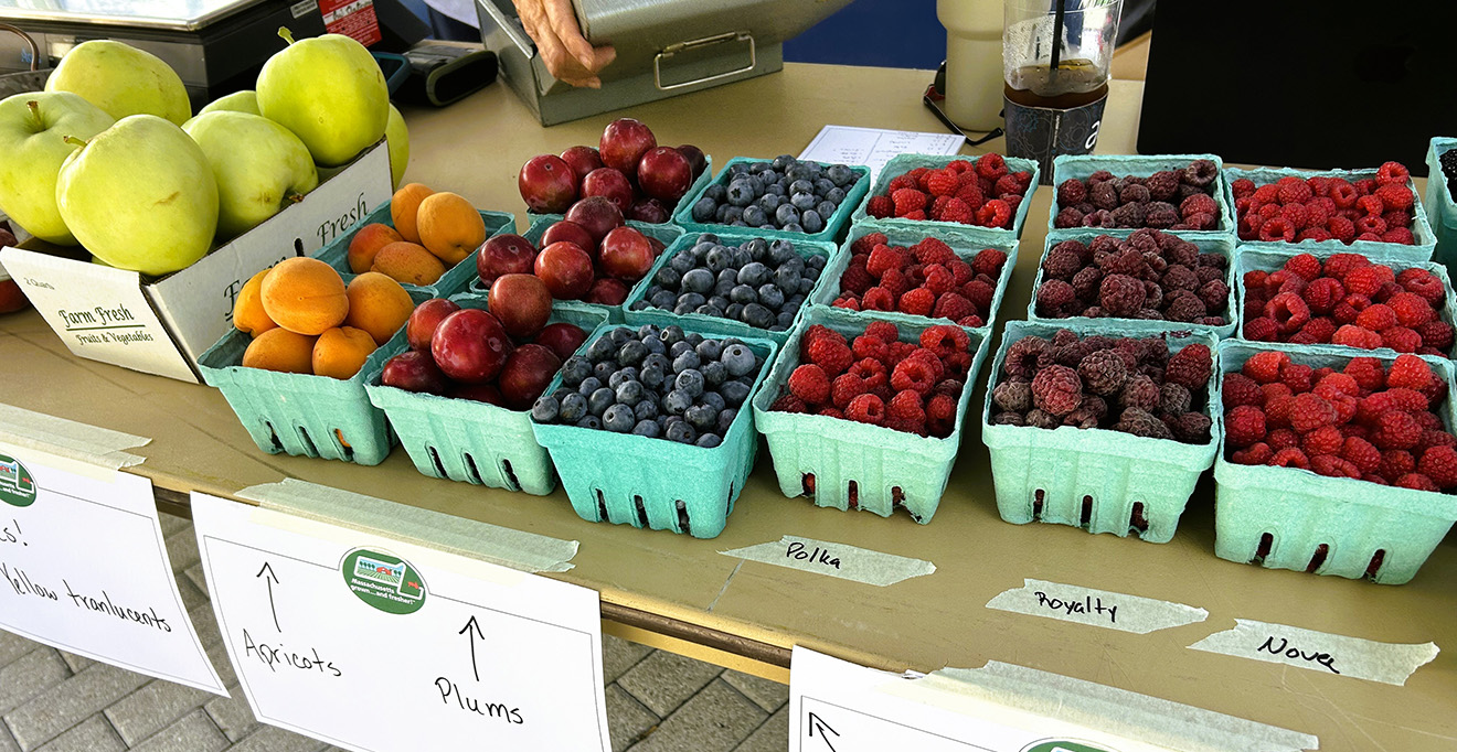 Photo of berries for sale at the July 2024 Farmers Market at UMass Chan