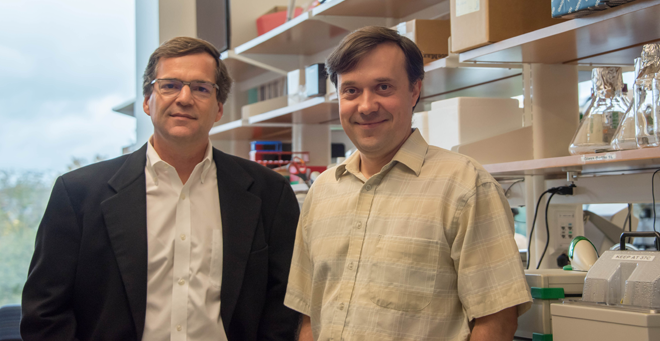 Erik Sontheimer, PhD, and Andrei Korostelev, PhD